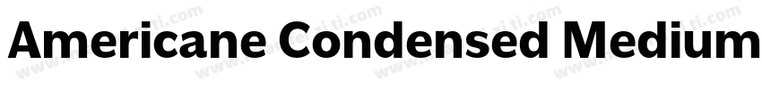 Americane Condensed Medium字体转换